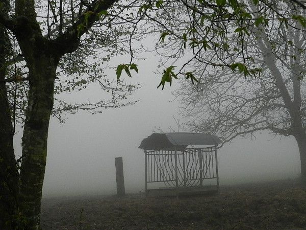 PRINTEMPS OU AUTOMNE
